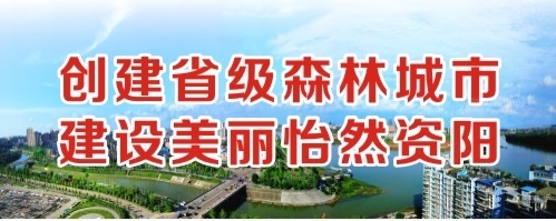 肏屄小说视频网创建省级森林城市 建设美丽怡然资阳